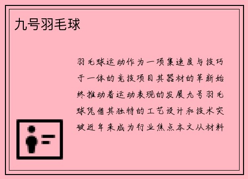 九号羽毛球
