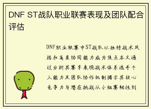 DNF ST战队职业联赛表现及团队配合评估